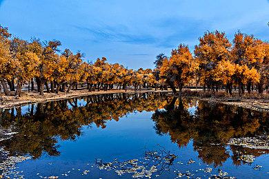 Switch 2已经被列为卡普空职业巡回赛的赛事平台之一